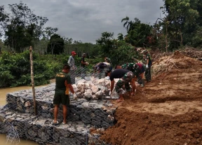 Jual Kawat Bronjong  Kalimantan Tengah